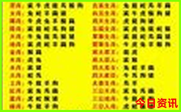 张家界适合小孩子玩的地方有哪些